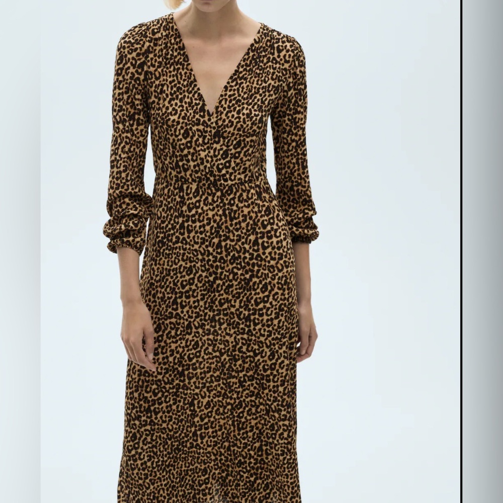 Leopard Print Maxi Dress